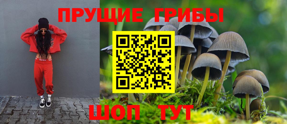 Галлюциногенные грибы Cubensis Южно-Сахалинск